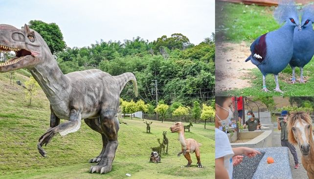 南投動物園 南投動物園