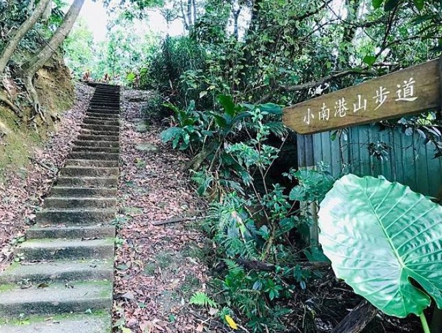 小南港山 小南港山