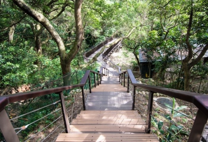 虎頭山步道 虎頭山步道