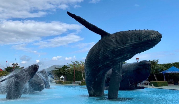 屏東水族館 屏東水族館