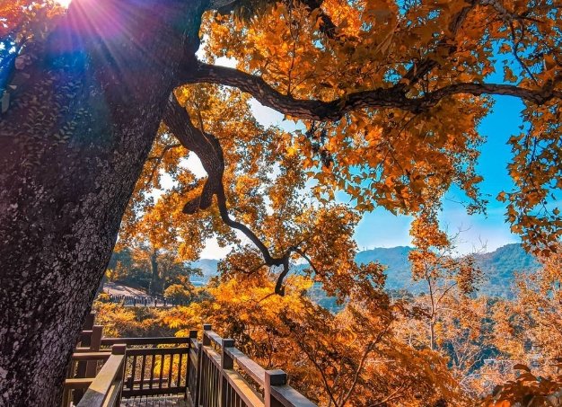 白河景點 白河景點