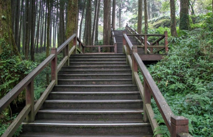 阿里山二延平步道 阿里山二延平步道