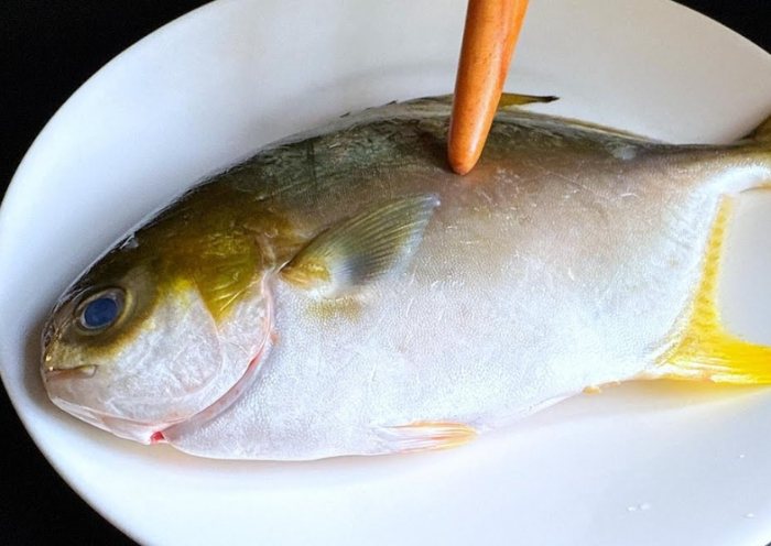 金鯧魚 金鯧魚