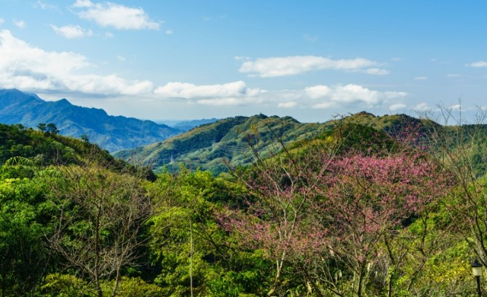 東眼山森林遊樂區 東眼山森林遊樂區
