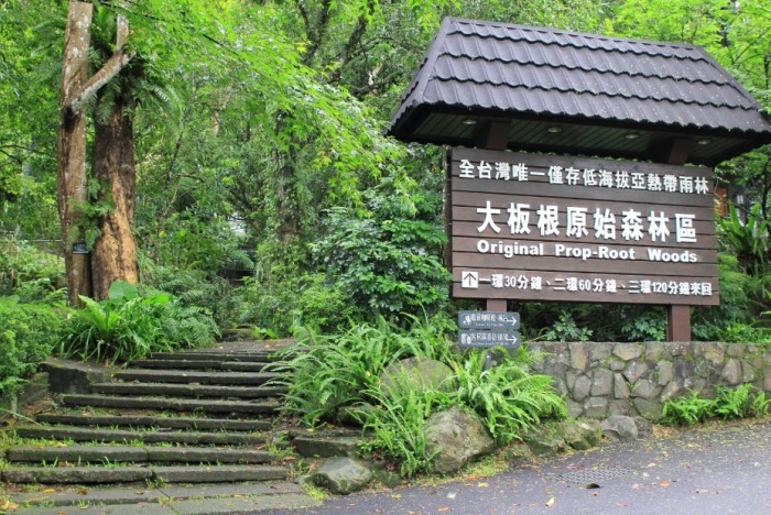 大板根森林遊樂園