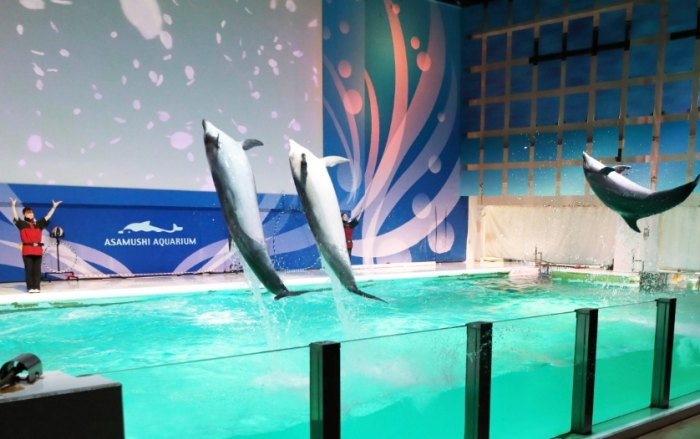 員林水族館 員林水族館
