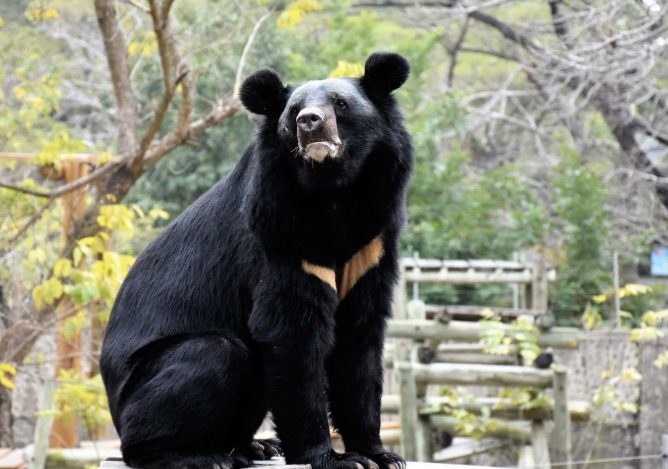 高雄動物園 高雄動物園