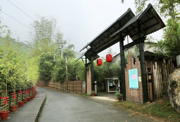 坑內坑森林步道 坑內坑森林步道