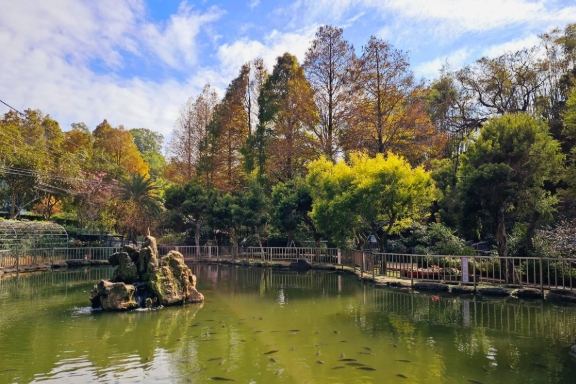 九芎湖 九芎湖
