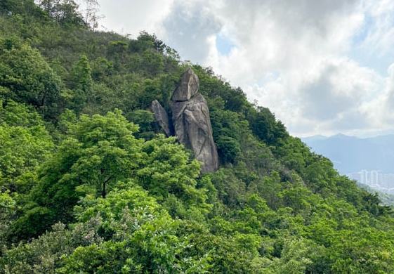 貓仔山 貓仔山