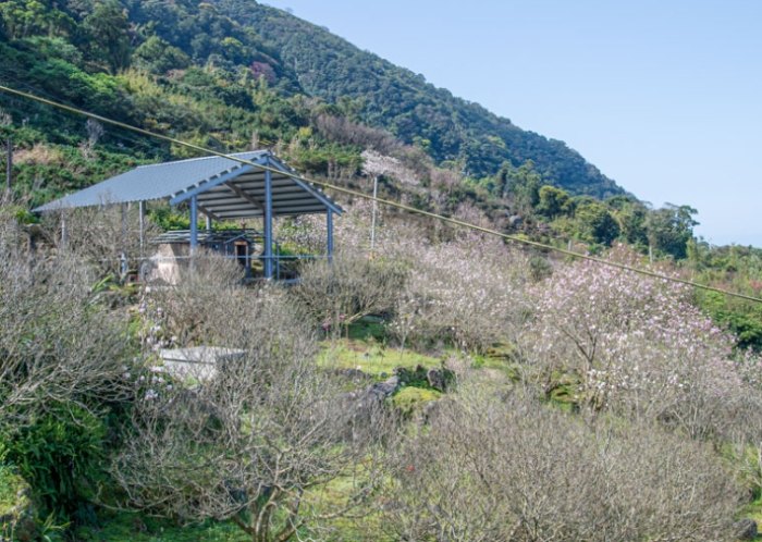 楓樹湖 楓樹湖