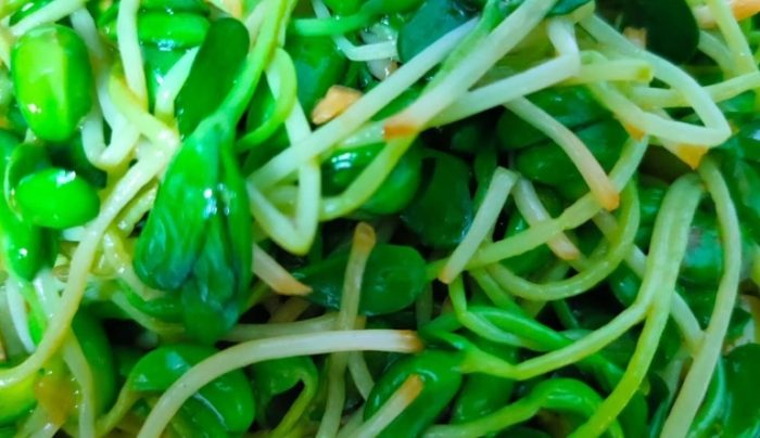 炒豆苗 炒豆苗