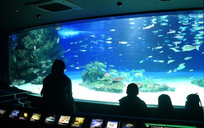 太陽城水族館 太陽城水族館
