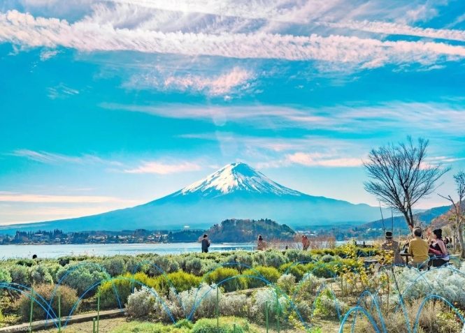 富士山自由行 富士山自由行