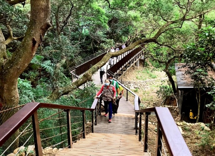 虎頭山步道 虎頭山步道