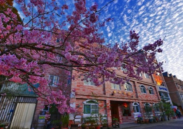 阿里山園區住宿 阿里山園區住宿