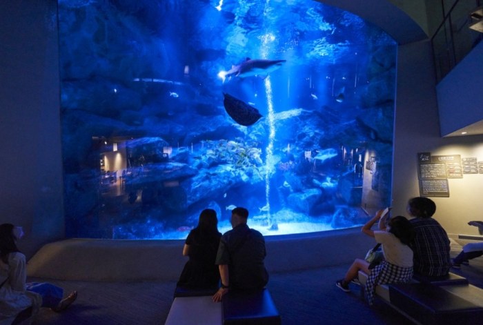 墨田水族館 墨田水族館