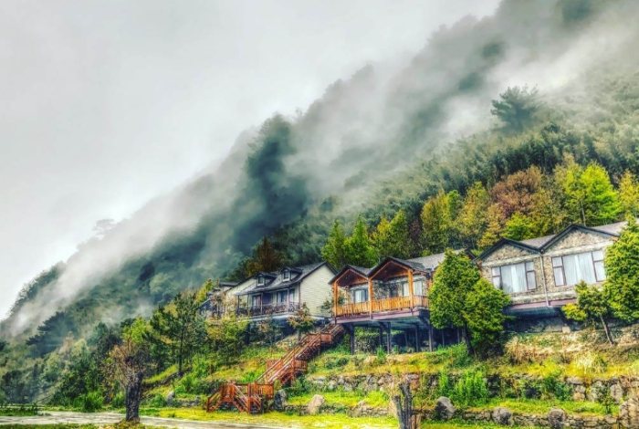 司馬庫斯巨木群步道 司馬庫斯巨木群步道