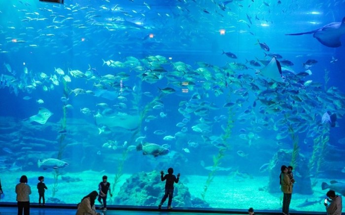 台南水族館