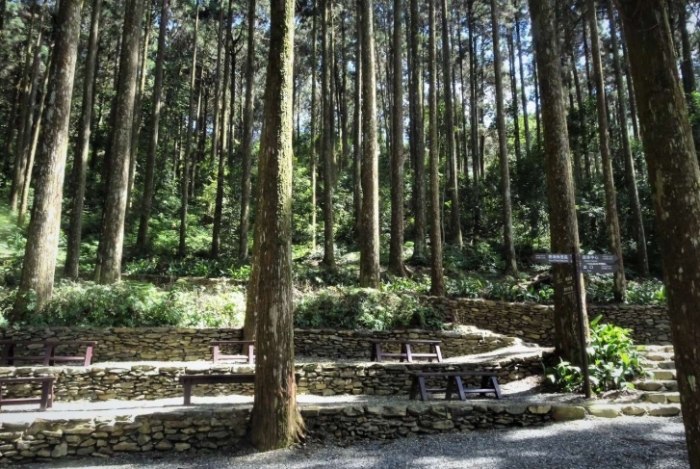 藤枝國家森林遊樂區 藤枝國家森林遊樂區