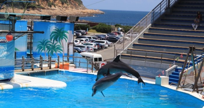 台灣水族館 台灣水族館