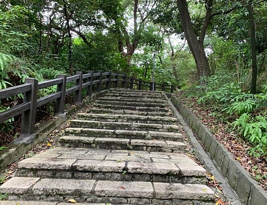 碧湖步道 碧湖步道