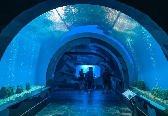 屏東室內景點 屏東室內景點
