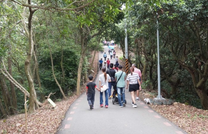 藤山步道 藤山步道