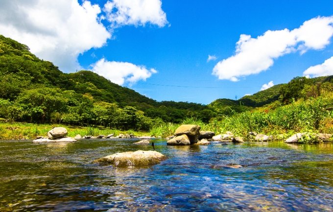 雙流國家森林遊樂區 雙流國家森林遊樂區