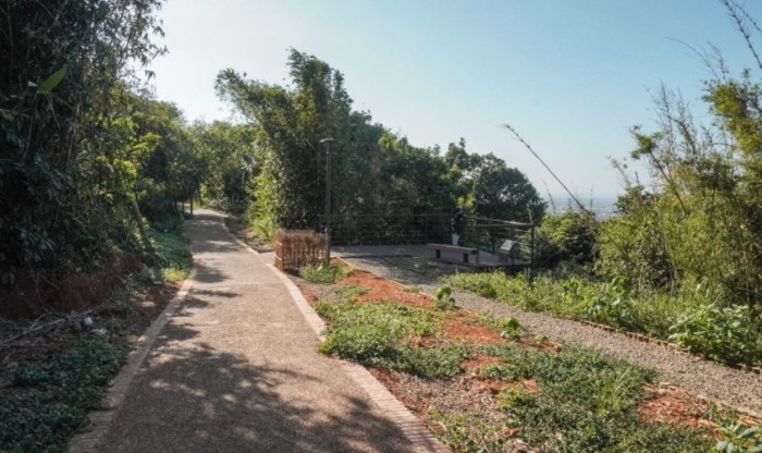 松柏坑山 松柏坑山