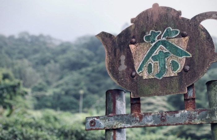 小南港山 小南港山