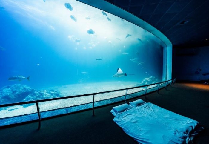 海生館住宿 海生館住宿