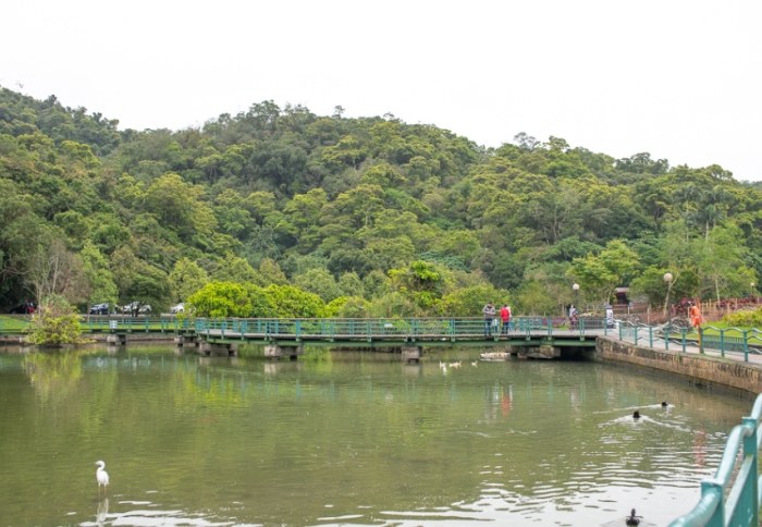 龍潭湖公園 龍潭湖公園