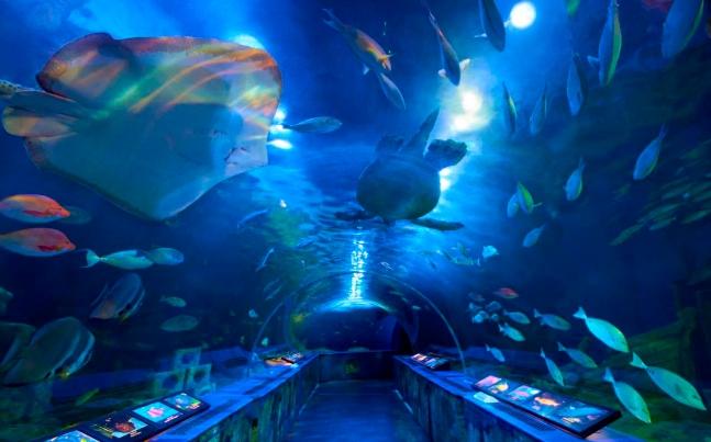 水族館東京 水族館東京
