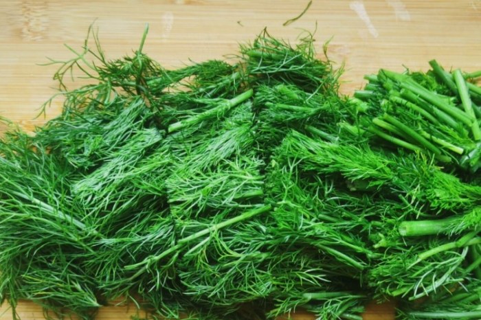 茴香功效 茴香功效