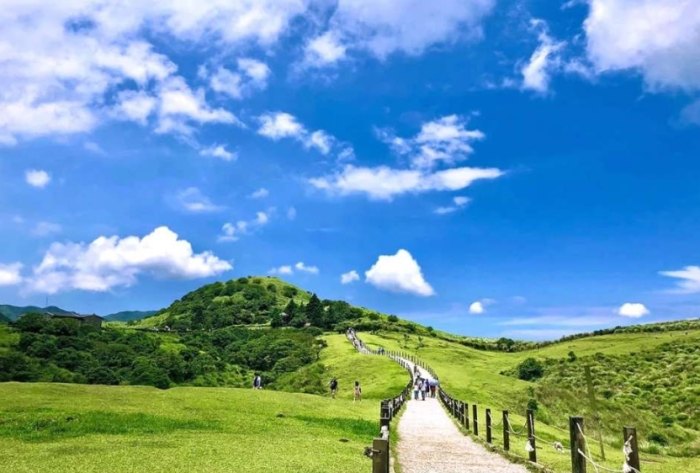 七星山步道 七星山步道