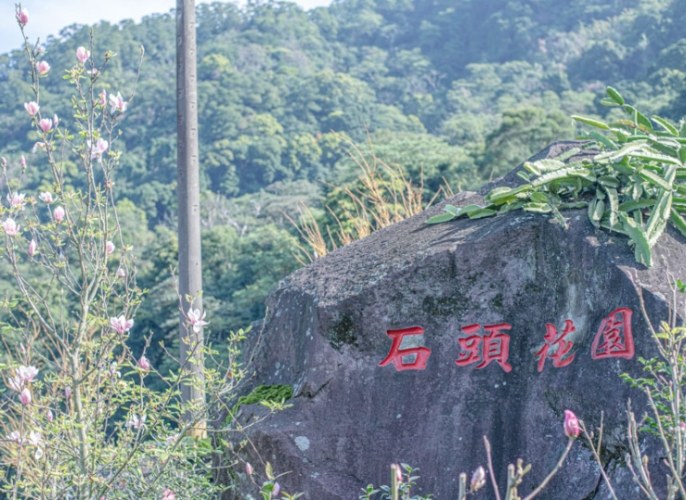 楓樹湖 楓樹湖