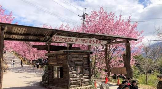 鎮西堡 鎮西堡