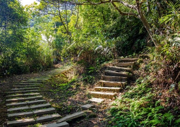 烘爐地登山步道 烘爐地登山步道