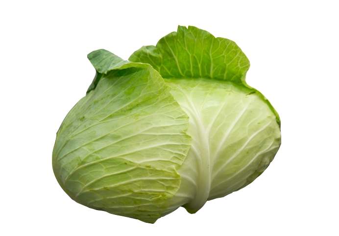 高麗菜功效 高麗菜功效
