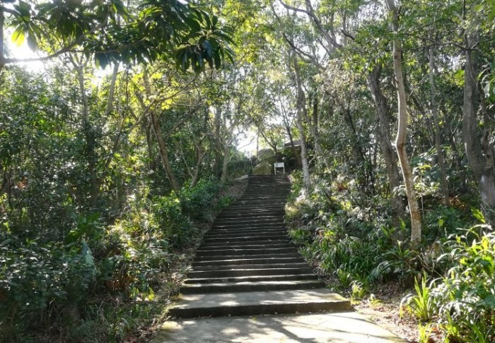 圓通寺步道 圓通寺步道