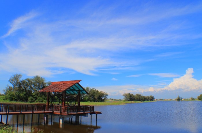 口湖景點 口湖景點