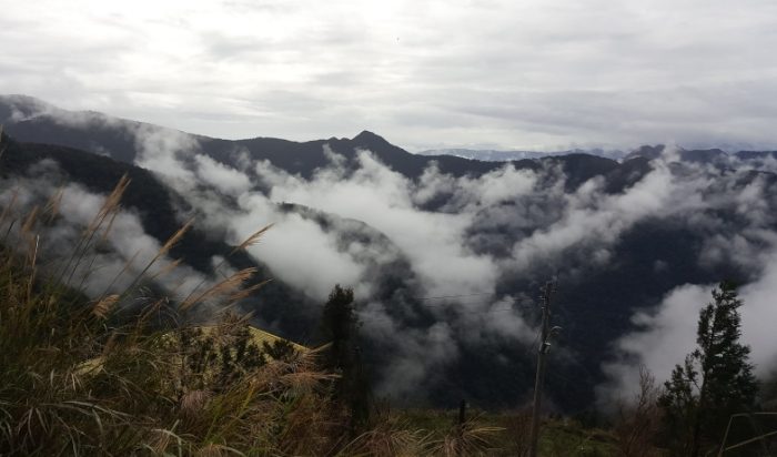 雲河露營農場 雲河露營農場