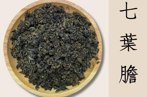 七葉膽功效 七葉膽功效