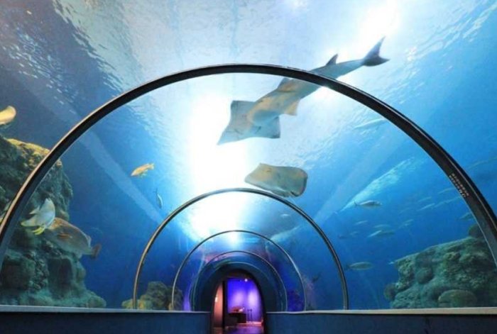 台灣水族館 台灣水族館