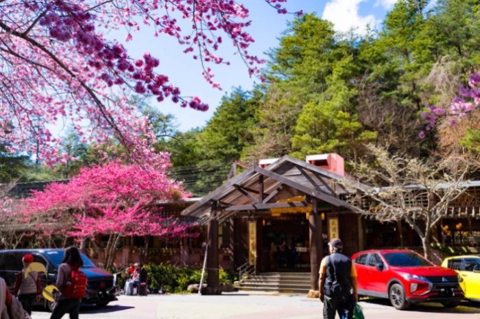 梨山住宿推薦 梨山住宿推薦