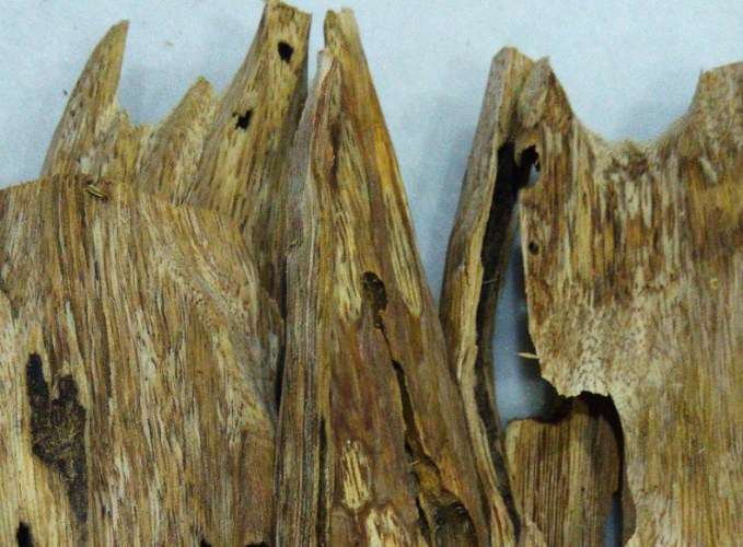 沉香的功效 沉香的功效
