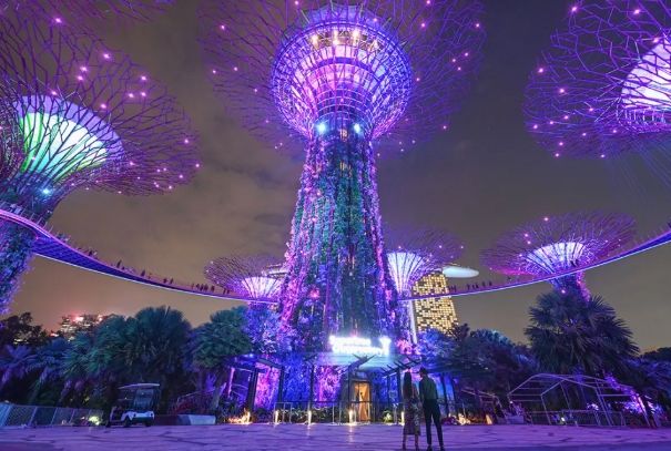 樟宜機場瀑布 樟宜機場瀑布