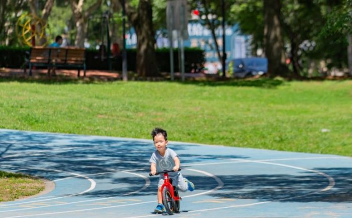林口步道 林口步道