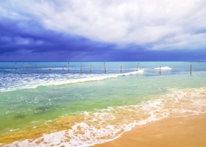 紐西蘭旅遊季節​